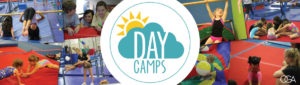 Day Camps